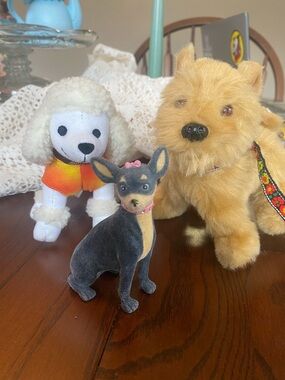 American Girl Julie Albright’s Dog Walking Set